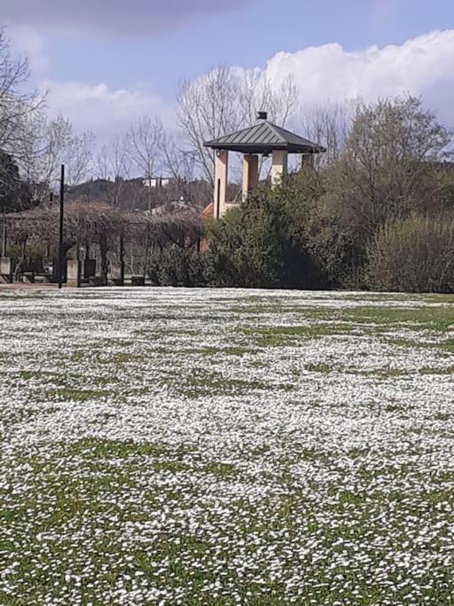 Dalla Rossa Montelupo Fiorentino Extérieur photo